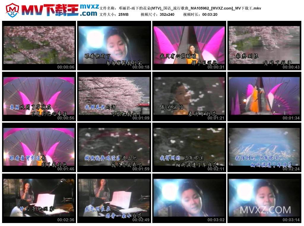 邓丽君-雨下的花朵(MTV)_国语_流行歌曲_MA105962